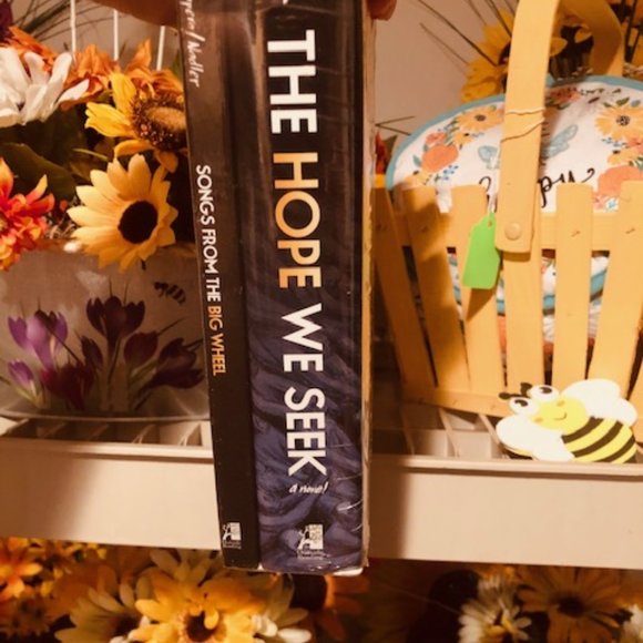 THE HOPE WE SEEK by Rich Shapero - BRAND NEW - Picture 4 of 4